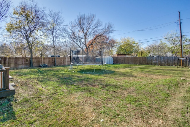 view of yard with a trampoline and a shed