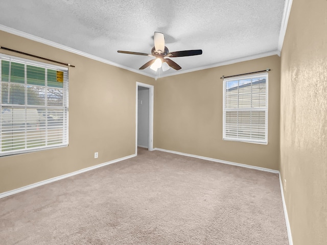 carpeted empty room featuring crown molding, ceiling fan, and a textured ceiling