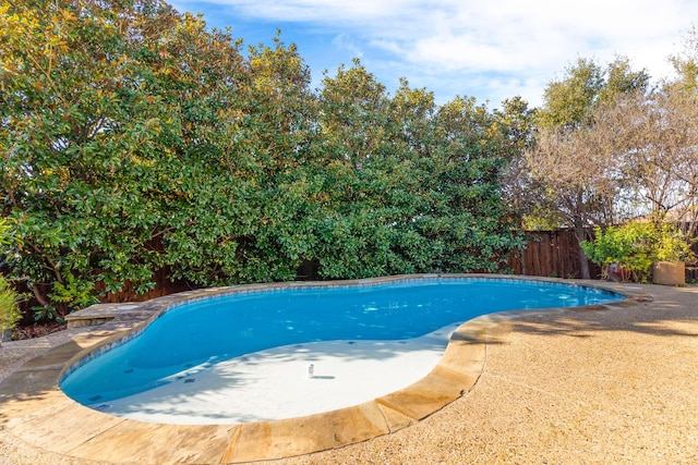 view of swimming pool