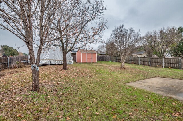 view of yard featuring a patio area and a shed