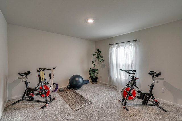 workout area featuring carpet flooring