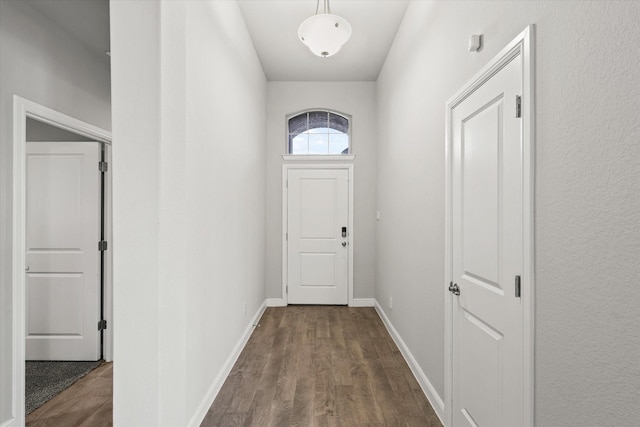 doorway with dark hardwood / wood-style floors