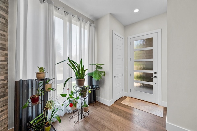 entryway featuring hardwood / wood-style floors