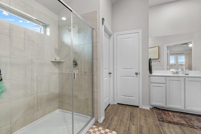 bathroom featuring vanity, a healthy amount of sunlight, and a shower with shower door