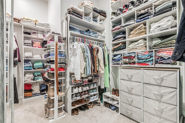 spacious closet featuring carpet flooring