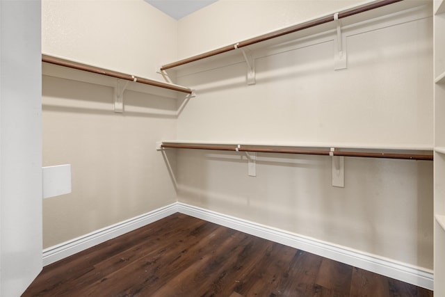 spacious closet with dark hardwood / wood-style flooring