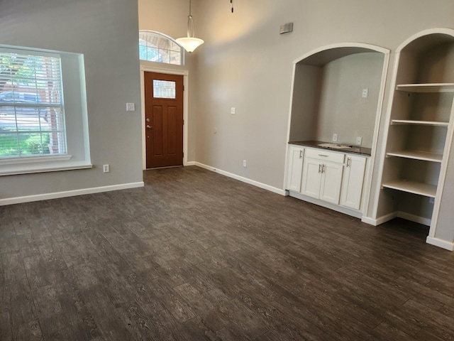 foyer entrance featuring dark hardwood / wood-style flooring