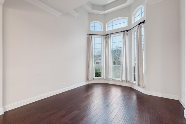 empty room featuring dark hardwood / wood-style flooring and a high ceiling