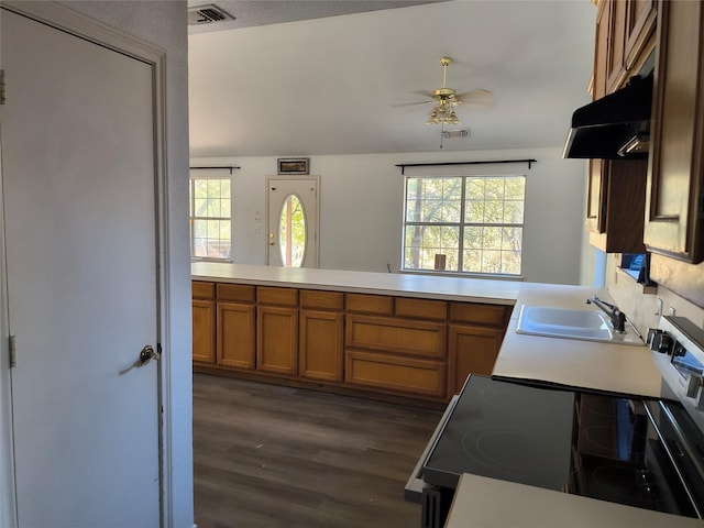 kitchen with dark hardwood / wood-style floors, plenty of natural light, kitchen peninsula, and sink