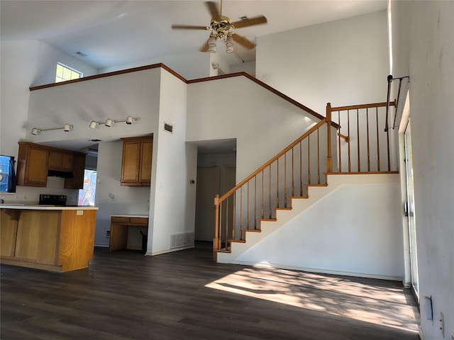 kitchen featuring a wealth of natural light, dark hardwood / wood-style flooring, high vaulted ceiling, and ceiling fan