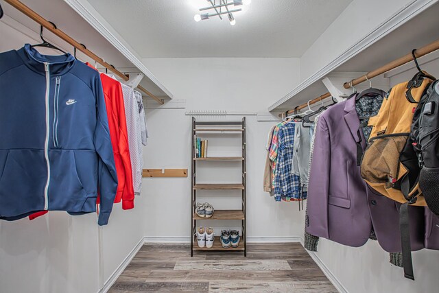 walk in closet featuring hardwood / wood-style flooring