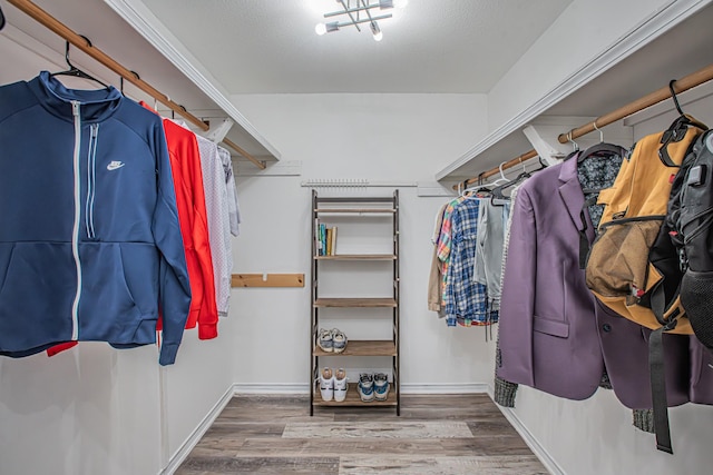 spacious closet with hardwood / wood-style flooring