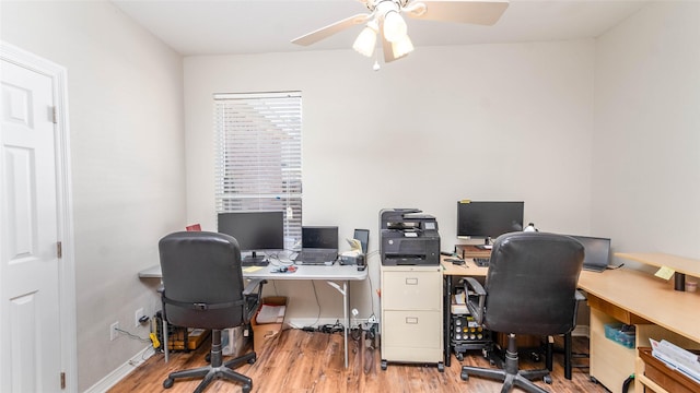 office with ceiling fan and light hardwood / wood-style flooring