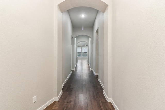 corridor featuring dark hardwood / wood-style flooring