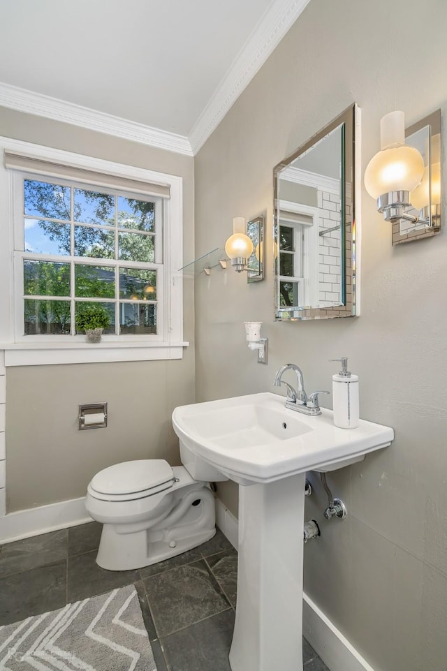 bathroom featuring toilet and ornamental molding