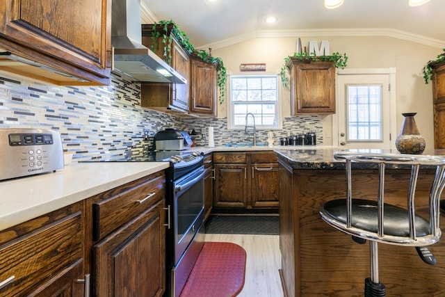 kitchen with ventilation hood, lofted ceiling, sink, ornamental molding, and electric stove