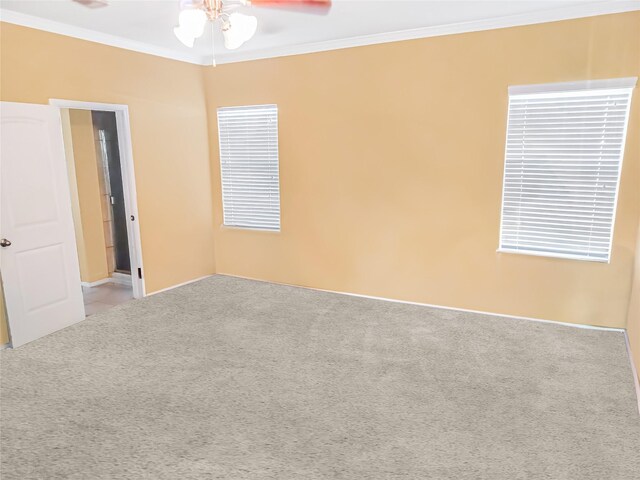 spare room with crown molding, carpet floors, and ceiling fan