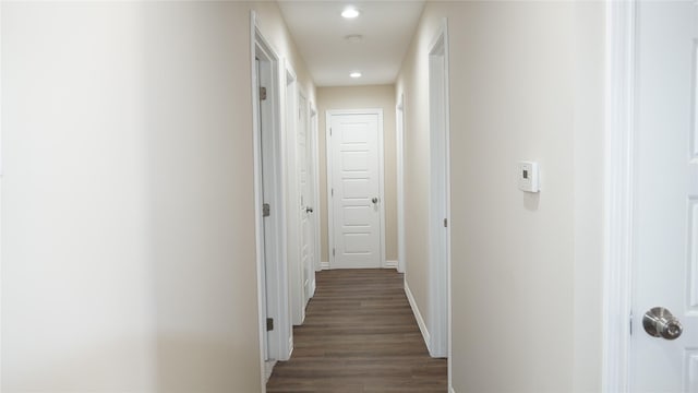 corridor featuring dark wood-type flooring