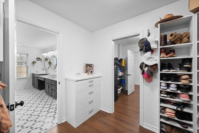 spacious closet with sink and dark wood-type flooring