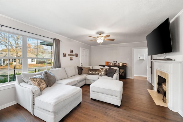 living room featuring crown molding, dark hardwood / wood-style floors, a fireplace, and ceiling fan