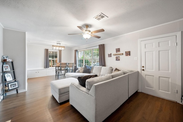 living room featuring crown molding, dark hardwood / wood-style flooring, and a textured ceiling