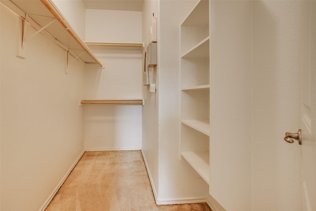 spacious closet featuring carpet flooring