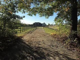 view of yard with a rural view