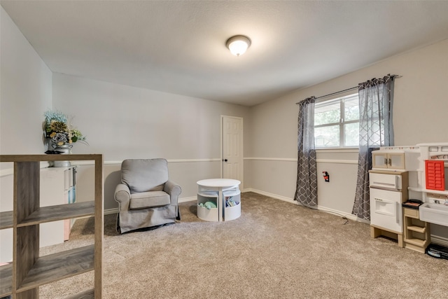 sitting room featuring carpet