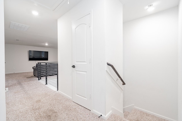 staircase featuring carpet