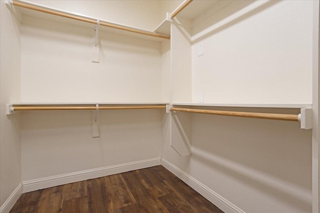 spacious closet with dark wood-type flooring