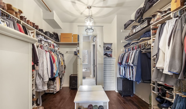 spacious closet featuring dark hardwood / wood-style floors