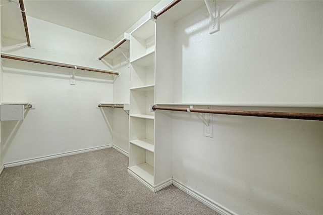 spacious closet with light carpet