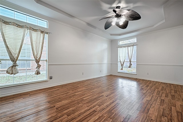 empty room featuring hardwood / wood-style floors, a raised ceiling, and plenty of natural light