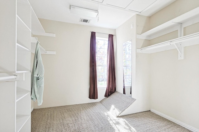 spacious closet featuring carpet flooring