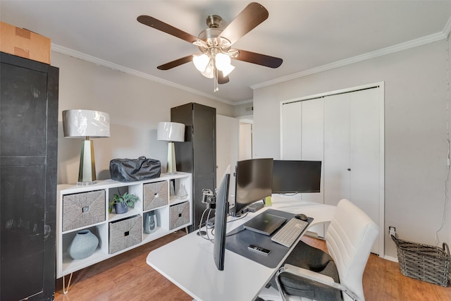 office featuring crown molding, ceiling fan, and light wood-type flooring