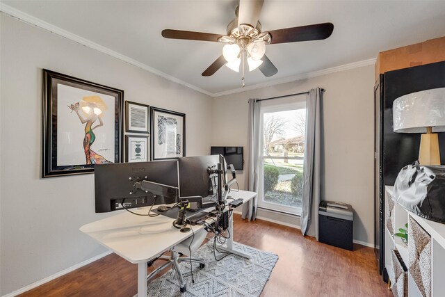 office featuring crown molding, ceiling fan, and wood-type flooring