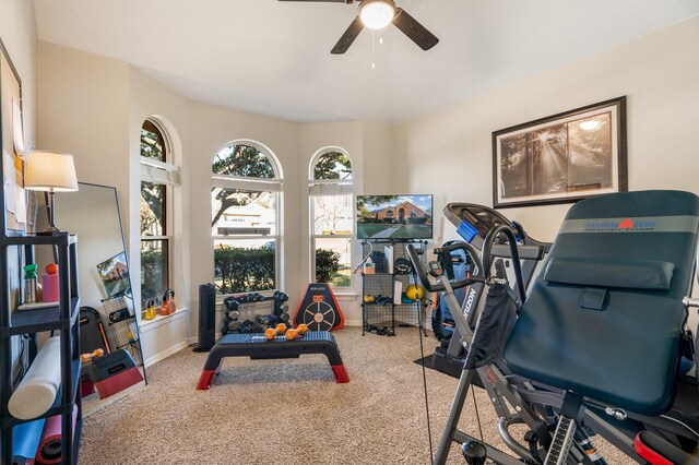 workout area featuring ceiling fan and carpet