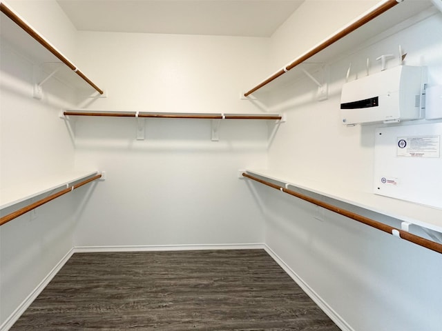 spacious closet with dark wood-type flooring