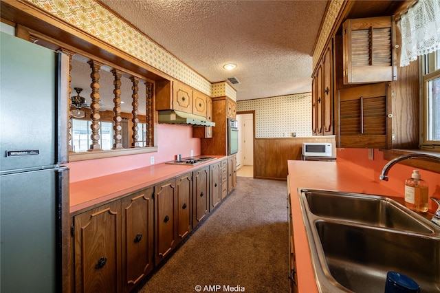 206 Spoon Dr, Stamford, TX 79553 - kitchen with a textured ceiling, wallpapered walls, appliances with stainless steel finishes, under cabinet range hood, and a sink