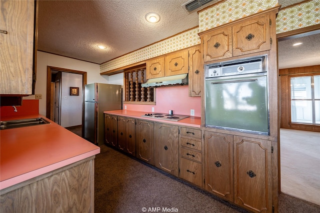 206 Spoon Dr, Stamford, TX 79553 - kitchen featuring oven, under cabinet range hood, dark carpet, a sink, and freestanding refrigerator