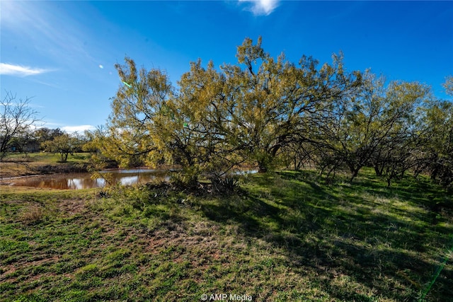 206 Spoon Dr, Stamford, TX 79553 - view of yard featuring a water view