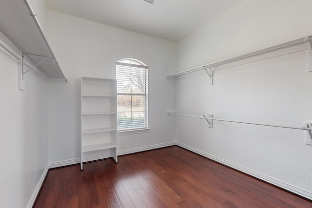 walk in closet with dark wood-type flooring