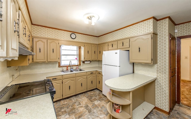 kitchen featuring sink, black electric range, ornamental molding, and white fridge