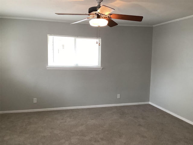 carpeted spare room with ceiling fan and ornamental molding