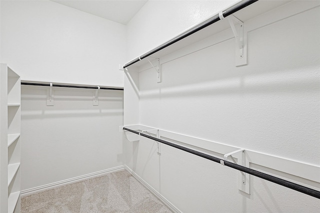 spacious closet featuring carpet flooring