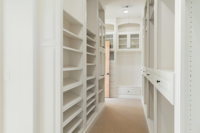 spacious closet with carpet floors