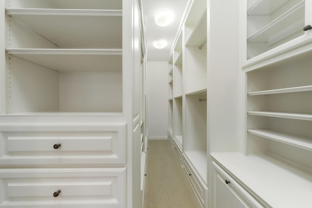 view of walk in closet