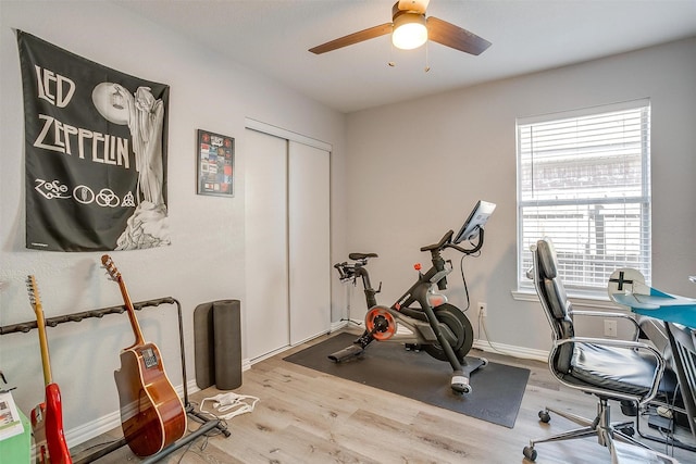 workout room featuring ceiling fan and light wood-type flooring