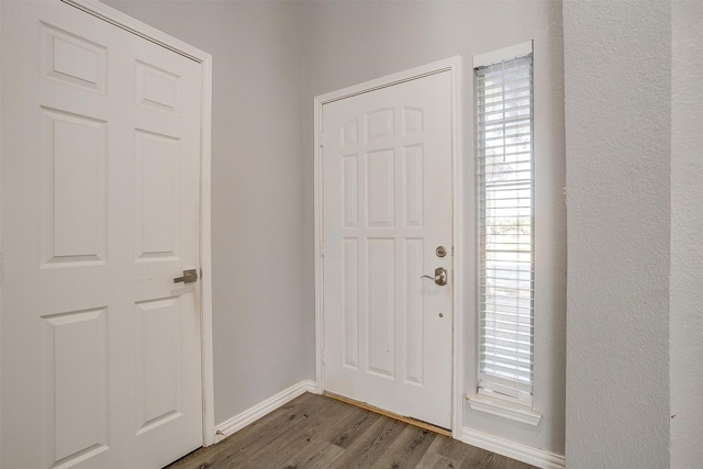 entrance foyer with dark wood-type flooring