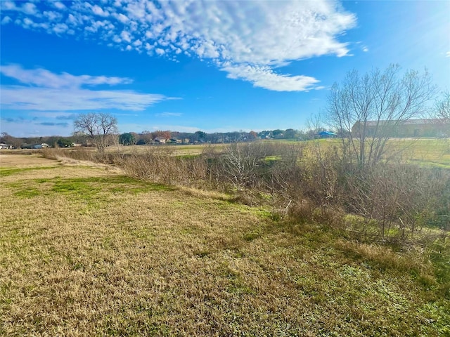 view of yard with a rural view